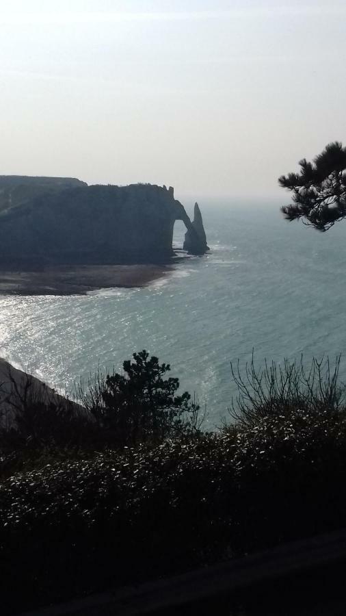 Les Nids Des Falaises Saint-Jouin-Bruneval Esterno foto